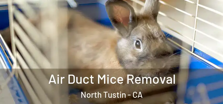  Air Duct Mice Removal North Tustin - CA