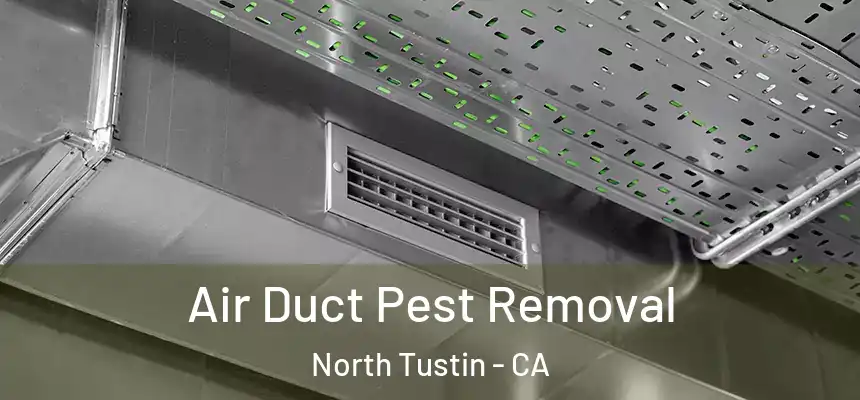 Air Duct Pest Removal North Tustin - CA
