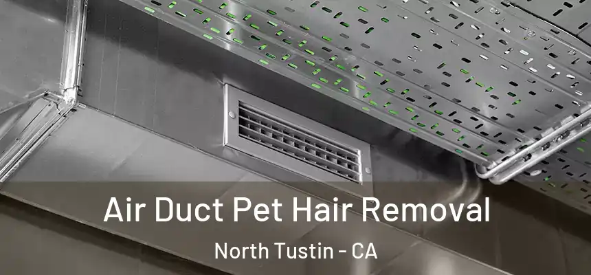  Air Duct Pet Hair Removal North Tustin - CA