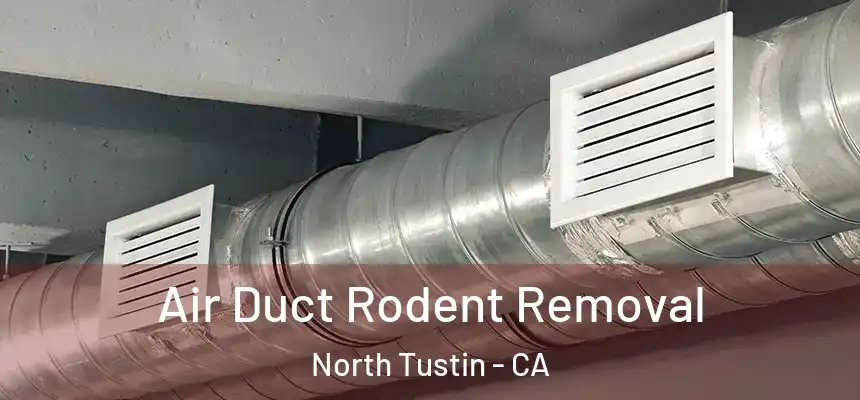 Air Duct Rodent Removal North Tustin - CA