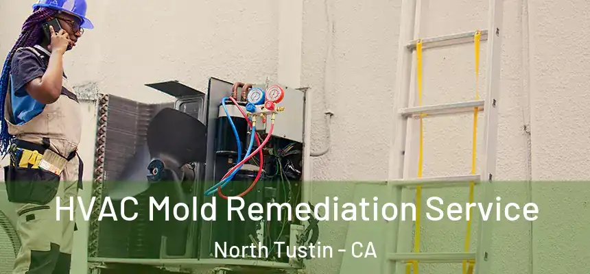  HVAC Mold Remediation Service North Tustin - CA