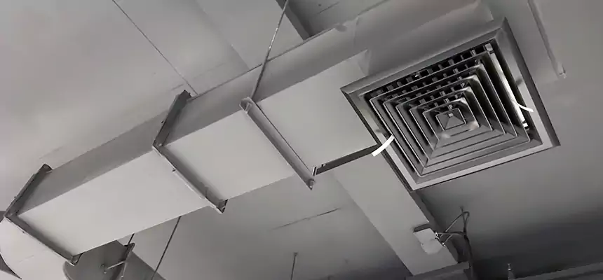 Restorative Allergy Relief Vent Cleaning – Coil, Blower & Housing Detail in North Tustin