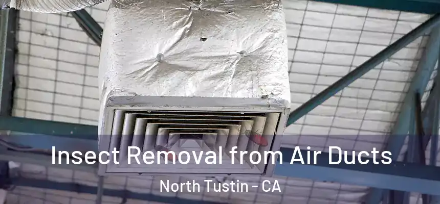  Insect Removal from Air Ducts North Tustin - CA