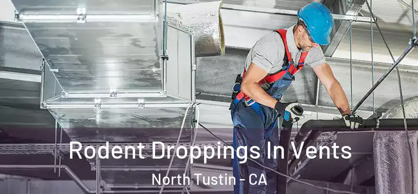  Rodent Droppings In Vents North Tustin - CA