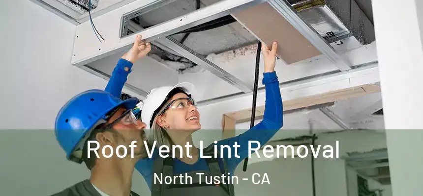 Roof Vent Lint Removal North Tustin - CA