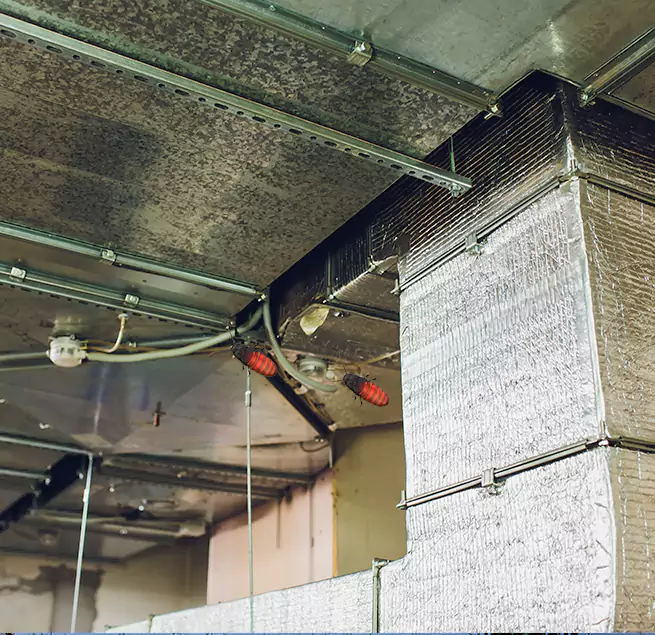 Why Homeowners & Businesses Trust Us in North Tustin, CA?