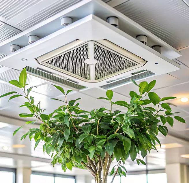 Why Homeowners & Businesses Trust Us in North Tustin, CA?